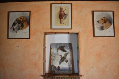 four framed pictures of birds and a dog on the wall