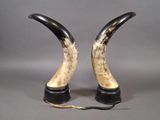 two horns that are sitting on top of each other