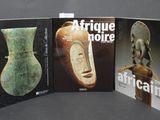 trois livres consacrés à l'art africain exposés sur un support gris