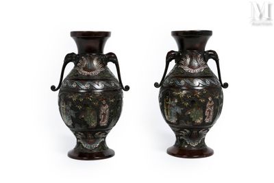 paire de vases munis d'anses de chaque côté, sur fond blanc