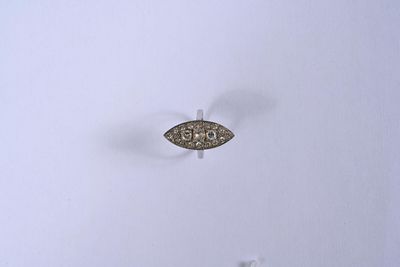 un petit poisson qui vole dans le ciel