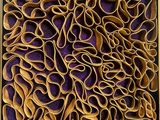 a picture of a box that has a purple and gold pattern on it