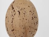 an egg shaped object with a gold base and a blue top