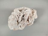 a close up of a sponge on a white surface