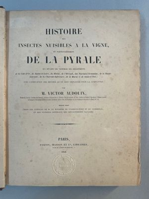 un livre ouvert posé sur un fond bleu, avec un titre en noir et blanc