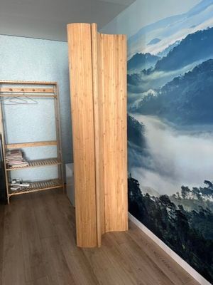 a room with a bed and a ladder in it