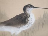 a painting of a bird that is standing in the grass
