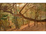 an oil painting of a forest scene with a fallen tree in the foreground