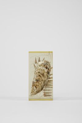 une image représentant une girafe debout devant un mur blanc
