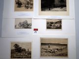 many pictures of animals on display on the wall