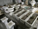 de nombreux pots contenant des plantes, posés sur une table