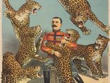 une vieille affiche française annonçant un spectacle de cirque, sur laquelle figure un homme entouré de léopards