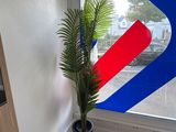 a plant in a pot in front of a window that has a k logo on it