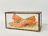a glass box with a pair of orange shoes inside of it
