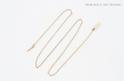 a close up of a gold necklace with a long chain