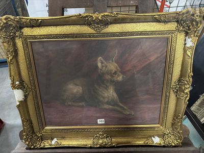 une photo d'un chien assis dans un cadre