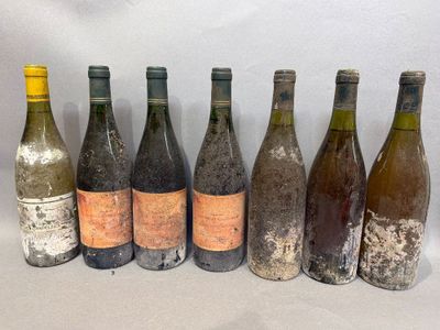 plusieurs bouteilles de vin sont alignées dans une rangée