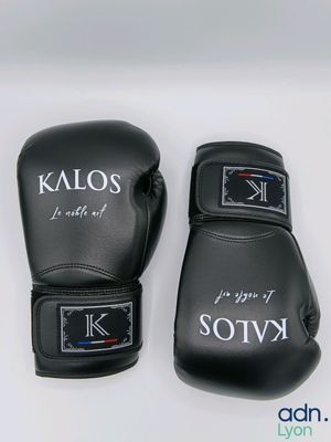 Lot à retirer à Décines-Charpieu (69150) ou expédition possi…