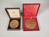 une image représentant une médaille d'or dans un coffret rouge