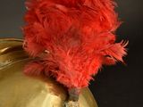 a gold helmet with a red feather on top of it