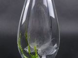 un vase en verre contenant une plante, posé sur une table