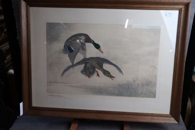 une photo montrant deux canards en plein vol