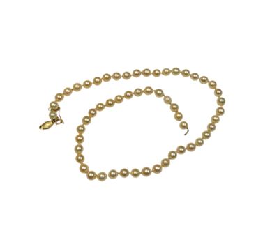 gros plan d'un collier de perles sur fond blanc