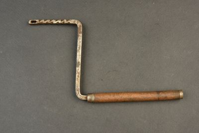 a close up of a wren with a wooden handle on a table