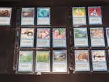 beaucoup de cartes sur la table