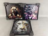 three framed pictures of a dog and a cat on a white background