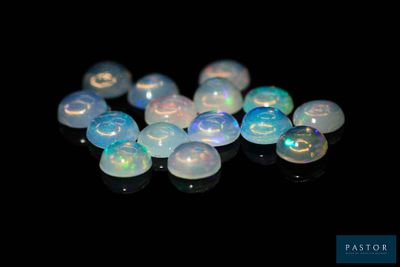 quelques oplites blancs sont assis sur une surface noire
