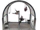 trois oiseaux qui sont dans une cage à oiseaux