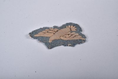 a picture of a patch with a picture of a bird on it