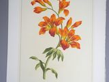 a picture of a painting of orange flowers on a wall