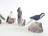cinq oiseaux différents perchés sur un rocher