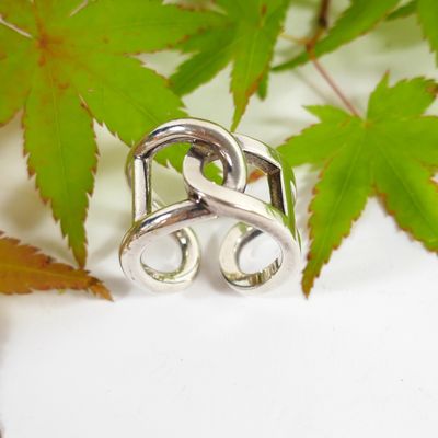a close up of a silver ring on a leaf