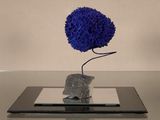 une fleur bleue posée sur une tablette