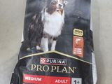 purina pro plan medium adult dry dog food