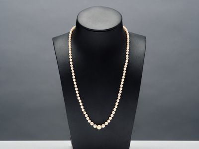 Collier d'un rang de perles de culture allant de 3,50 mm à 7…