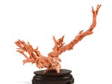 une sculpture en corail orange posée sur un socle noir, elle-même posée sur une surface blanche