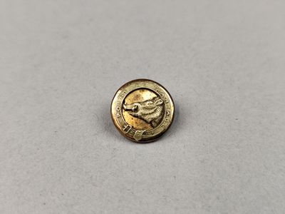 un gros plan d'une pièce de monnaie avec un visage dessus