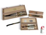 several different types of knives in a wooden box on a white surface