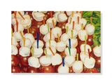 a painting of a bunch of white flowers on a table