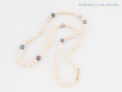 collier avec des perles et un fermoir en or sur fond blanc