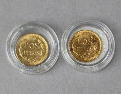 two gold coins in a glass container on a gray surface