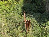 an old rusted wheel in the middle of a overgrown area