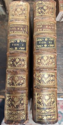 deux vieux livres posés sur une table