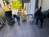 three statues of dogs and cats on the balcony