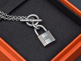 un gros plan sur un cadenas argenté attaché à une chaîne, dans une boîte
