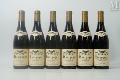 six bouteilles de vin sont alignées sur une table